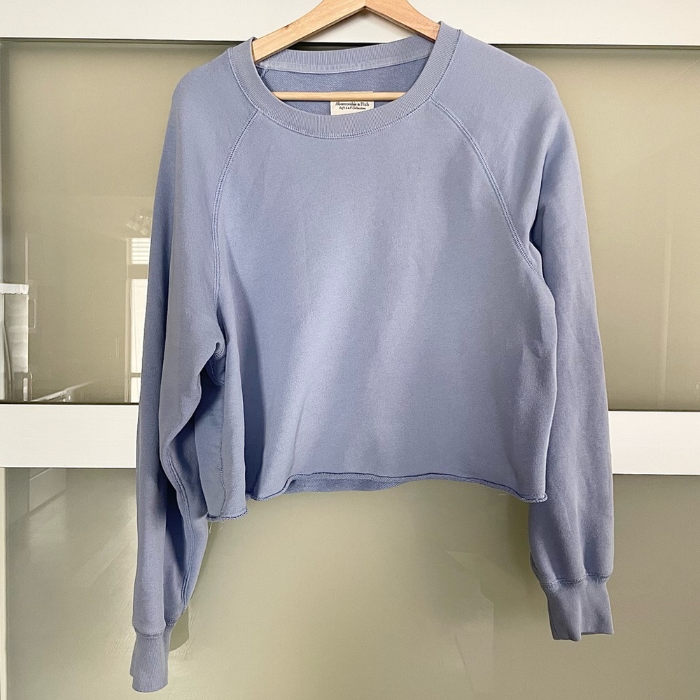 Abercrombie & Fitch Long Sleeve Crop Top (L)